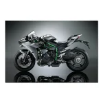 Affiches d’art murales modernes Kawasaki Ninja H2R, images de moto imprimées, peintures sur toile pour décor de salon Affiches d’art murales modernes Kawasaki Ninja H2R, images de moto imprimées, peintures sur toile pour décor de salon