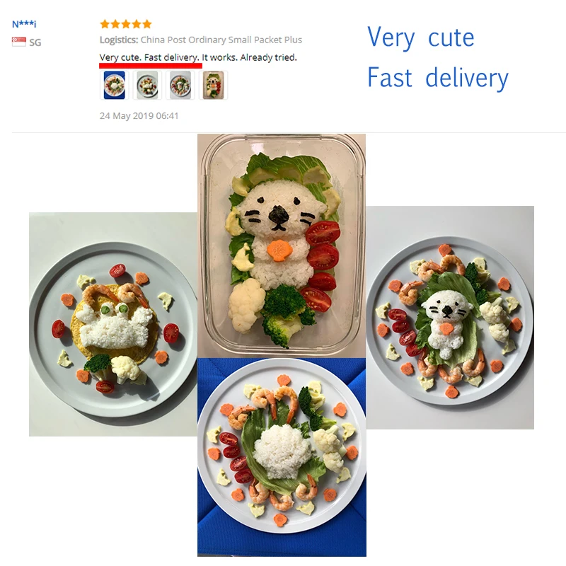 ensemble de fabrication de sushis kawaii, moule en forme de riz onigiri, gadgets alimentaires japonais mignons, outils exécutifs de sushi, accessoires de décoration de bento, bricolage ensemble de fabrication de sushis kawaii, moule en forme de riz onigiri, gadgets alimentaires japonais mignons, outils exécutifs de sushi, accessoires de décoration de bento, bricolage