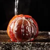 cérémonie du thé thé chinois pour animaux de compagnie, micro paysage à couleur changeante, modèle d'oranges en résine pour animaux de compagnie, ensemble de jeu de thé, accessoires