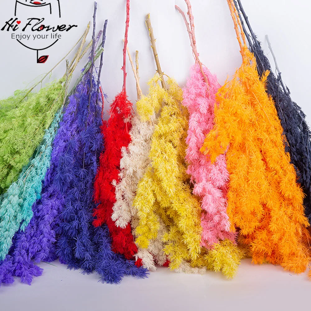 Penglai – fleurs séchées naturelles, pin éternel, pour décoration de maison nordique, Bouquet Floral Ming Fern, plantes ornementales Penglai – fleurs séchées naturelles, pin éternel, pour décoration de maison nordique, Bouquet Floral Ming Fern, plantes ornementales