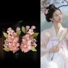 ensemble d'accessoires pour cheveux hanfu chinois, pince à cheveux, épingles à cheveux, peigne, coiffure de mariée rétro, accessoires pour cheveux de mariage, couvre chef, cadeau