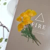 6 pièces, fleurs pressées éscholzie jaune et violette véritable spécimen de fleur sèche fournitures artisanales de bricolage pour cadre photo signet de plante