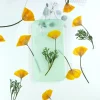 6 pièces, fleurs pressées éscholzie jaune et violette véritable spécimen de fleur sèche fournitures artisanales de bricolage pour cadre photo signet de plante