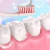réparer les dents, prévient la carie dentaire et éliminer efficacement la plaque dentaire