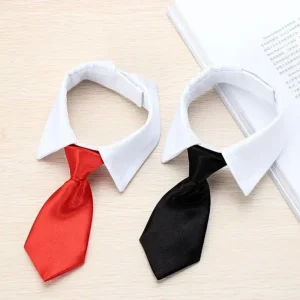 Nœud papillon pour chiot, collier formel réglable pour petits chiens et chats, accessoires de Costume de toilettage pour chiots