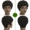 hort pixie perruques pour les femmes noires courtes noires bouclés pixie perruques cheveux synthétiques perruques pour les femmes noires naturel ondulé noir pixie coupe wi