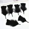 plumes de dinde colorées pour l'artisanat, petites plumes de 5 10cm, fabrication de bijoux, accessoires artisanaux de carnaval, décoration de fête de mariage