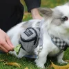 pochette de friandises portable pour animaux de compagnie, stockage des déchets multifonctions, sac de taille de récompense pour chiot, distributeur de merde de chien durable