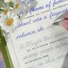Cahier anglais pour livres de calligraphie pour adultes, écriture de mots, italique, cursive italienne, livre de pratique en anglais