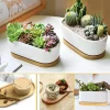 vaisselle japonaise assiette en bois hêtre plateau ovale mini assiette en bois massif assiette en bois entière pour enfants assiette en bois 18cm 1 pièce