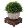 plateau à thé rétro en bois, table délicate, petites bases de théière carrées, décor de vase, socle de bonsaï en bois massif, plateau de service de base en bois