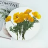6 pièces, fleurs pressées éscholzie jaune et violette véritable spécimen de fleur sèche fournitures artisanales de bricolage pour cadre photo signet de plante