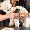 brosse professionnelle de démêlage pour animaux de compagnie, brosse multifonctionnelle pour marié, ergonomique, pour enlever les poils de chien, outil de démêlage
