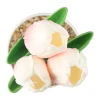 petites fleurs artificielles en pot, tulipe, fausses plantes, arbre en pot, ornement de bureau pour la maison, le bureau, décoration de fête de mariage