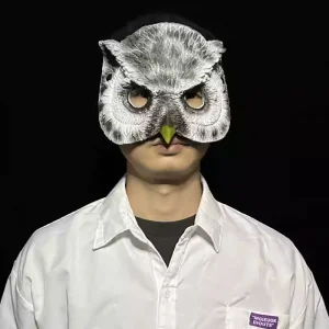 Masque d&rsquo;animal de hibou, Masque d&rsquo;oiseau de mascarade pour hommes et femmes, accessoires de fête de carnaval Cosplay, Masque de déguisement, accessoire de Costume