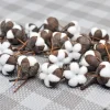 fleurs naturelles séchées en coton Él, kapok pour salle de mariage, fournitures de décoration de pâques, bouquet de couronne bricolage, boîte cadeau