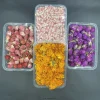 roses de jasmin 100% naturelles, fleurs séchées pour décoration de fête, fabrication de bougies, pendentif en résine et cristal