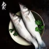 joto – ensemble de vaisselle en céramique japonaise épaisse, simple et polyvalente, facile à nettoyer, fait à la main, cjr0450