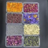 roses de jasmin 100% naturelles, fleurs séchées pour décoration de fête, fabrication de bougies, pendentif en résine et cristal