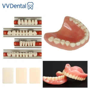 VVDental A1 A2 A3 dentaire résine synthétique dents prothèse dents supérieur antérieur inférieur dentier dents modèle d&rsquo;éducation dentaire