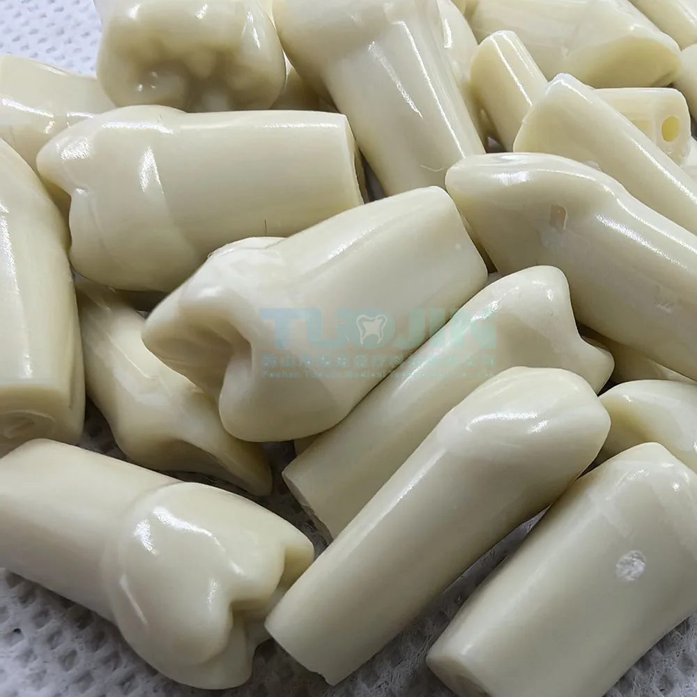 modèle de dents dentaires pour technicien dentaire, entraînement dentaire parfait, préparation à la pratique, 32 pièces, ag 3 fit modèle de dents dentaires pour technicien dentaire, entraînement dentaire parfait, préparation à la pratique, 32 pièces, ag 3 fit