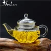 Arshen – théière en verre filtrée et résistante à la chaleur de 250ml, Double paroi ou avec théière à ressort en acier inoxydable, théière en verre transparent Arshen – théière en verre filtrée et résistante à la chaleur de 250ml, Double paroi ou avec théière à ressort en acier inoxydable, théière en verre transparent