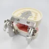 28/32 typodont modèle de dents standard technicien dentaire pratique formation mâchoire modèle dentaire modèle d'enseignement des dents avec gomme souple