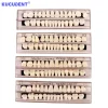 28 pièces/ensembles dentaire résine synthétique dents résine composite dents a2 a3 prothèse supérieure inférieure artificielle préformée prothèse acrylique ed