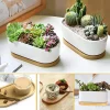 vaisselle japonaise assiette en bois hêtre plateau ovale mini assiette en bois massif assiette en bois entière pour enfants assiette en bois 18cm 1 pièce