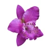 pinces à cheveux fleur hawaïenne pour femmes et filles, épingles à cheveux florales, hibiscus et orchidée, été, plage, vacances, fête de mariage, accès aux cheveux, p0t4