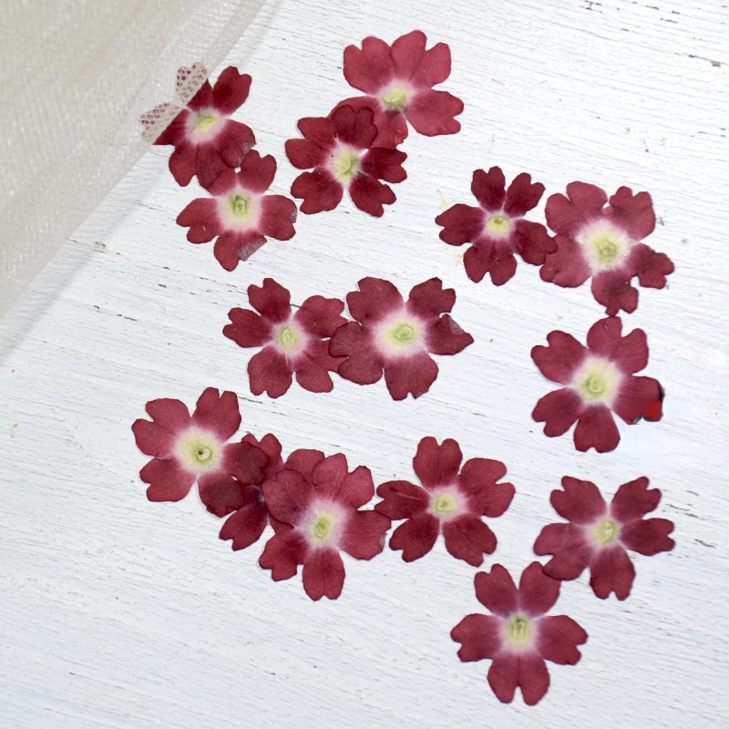 1.5 2 cm/24 pièces, mini pétales de fleurs de sakura pressés naturels, invitations de mariage à faire soi même greffe signet carte cadeau, décoration artistique de pointe d'ongle 1.5 2 cm/24 pièces, mini pétales de fleurs de sakura pressés naturels, invitations de mariage à faire soi même greffe signet carte cadeau, décoration artistique de pointe d'ongle