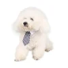 nœud papillon pour chiot, collier formel réglable pour petits chiens et chats, accessoires de costume de toilettage pour chiots