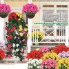 fleurs artificielles bonsaï artificielles décor begonias extérieur tenture murale fleurs pour décor de patio aménagement paysager décor à la maison
