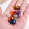 pierres précieuses naturelles en clip coloré, ensemble de bâtons de pouvez vous pse en forme de salle plus lente, boîte de cadeaux, guérison reiki à la main, quartz, collection pour la maison