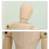 mannequin de dessin en bois de corps d'homme, modèle rotatif, artiste, membres mobiles, figurauckland, humain, mâle, l'inventaire, artisanat de décoration