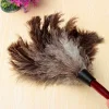 plumeau en poils d'autruche antistatique, brosse à poussière de voiture, balayeuse, nettoyeur de meubles, manche en bois domestique, vadrouille à plumes, livres