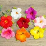 Ensemble d&rsquo;épingles à cheveux en Hibiscus Vintage, 10 pièces, Style îles de Tahiti, fête de famille, mariage, événement nuptial, vacances hawaïennes, fleur artificielle