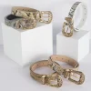 Ceinture en peau de serpent avec broche sculptée européenne et américaine pour femme, motif à la mode et polyvalent, haut de gamme Ceinture en peau de serpent avec broche sculptée européenne et américaine pour femme, motif à la mode et polyvalent, haut de gamme