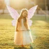 costume de fée coloré papillon ailes de fée étincelle à la main princesse aile de papillon organza cosplay ailes faveur de fête