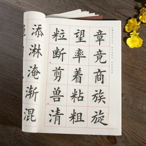 Pinceau de calligraphie à encre chinoise pour étudiants, cahier de style Ou, pinceau Pier régulier simple, pratique de la calligraphie Pinceau de calligraphie à encre chinoise pour étudiants, cahier de style Ou, pinceau Pier régulier simple, pratique de la calligraphie
