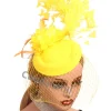 mariée violet voiles pilulier fasciantor accessoires femmes maille fête mariage chapeau casquette fille spectacle course fleur casque pince à cheveux
