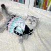 démon slayer animal de compagnie ver pilier printemps été chat vêtements ninja shinobu cosplay kimono chien shinobu vêtements