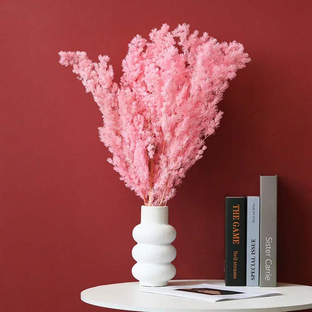 penglai – fleurs séchées naturelles, pin éternel, pour décoration de maison nordique, bouquet floral ming fern, plantes ornementales penglai – fleurs séchées naturelles, pin éternel, pour décoration de maison nordique, bouquet floral ming fern, plantes ornementales