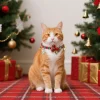 collier porte bonheur pour chat, 1 pièce, joli collier de cloche de noël, couleur vibrante, bijoux pour chat, costume, collier pour chaton, accessoire festif pour animaux de compagnie, vacances