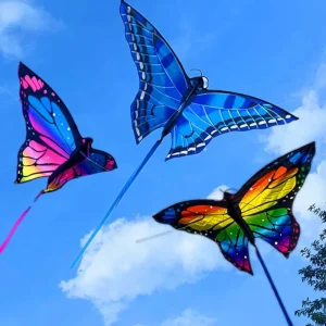 Nouveau Cerf-volant papillon coloré facile à voler, beau cerf-volant de direction papillon pour enfants, longue queue, bon volant, cerf-volant 3D de jardin