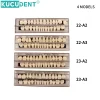 jeu de dents en résine composite dentaire, 28 pièces, remplacement complet de la bouche, prothèse dentaire en résine acrylique 22/23 ombres a2/a3, modèle d'enseignement de la dentisterie