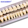 28 pièces/ensembles dentaire résine synthétique dents résine composite dents a2 a3 prothèse supérieure inférieure artificielle préformée prothèse acrylique ed