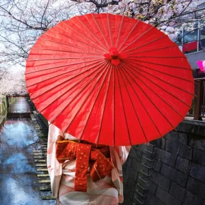Parapluie en papier coloré de Style chinois, 20/30/40CM, artisanat de bricolage, peinture à l’huile sur papier, poignée en bambou, Parasol Oriental pour fête Parapluie en papier coloré de Style chinois, 20/30/40CM, artisanat de bricolage, peinture à l’huile sur papier, poignée en bambou, Parasol Oriental pour fête