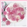 Plantes de fleurs de Sakura séchées PMurcia, herbier pour élection, bijoux en résine xy, maquillage pour le visage, bougie bricolage, 12 pièces, 3-4cm