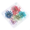 K3ne sèche fleurs séchées charmes ongles décorations artistiques charmes japonais K3ne sèche fleurs séchées charmes ongles décorations artistiques charmes japonais